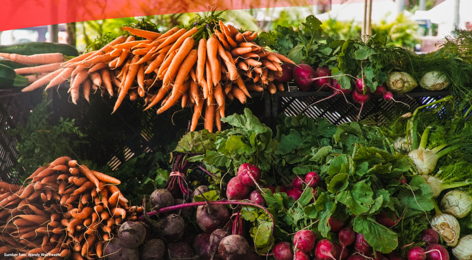 Tahu dan Tempe Jadi Makanan Favorit Vegetarian di Indonesia
