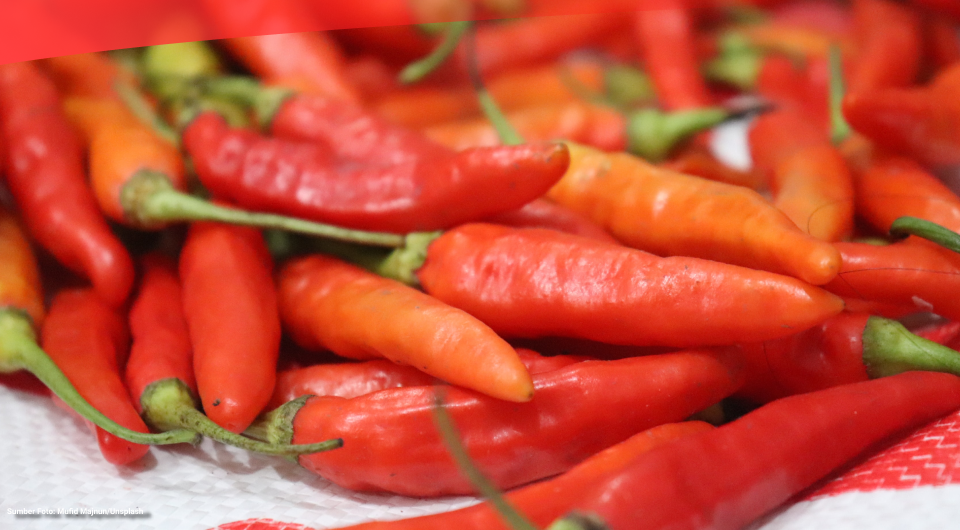 Jawa Timur Jadi Sentra Cabai Rawit Terbesar Nasional pada 2022