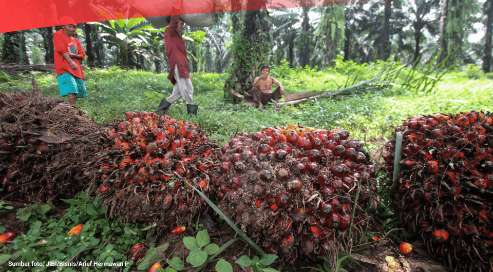 (Laporan) Kumpulan Data Kinerja dan Rasio Keuangan Emiten Perkebunan Sawit pada Kuartal III/2024