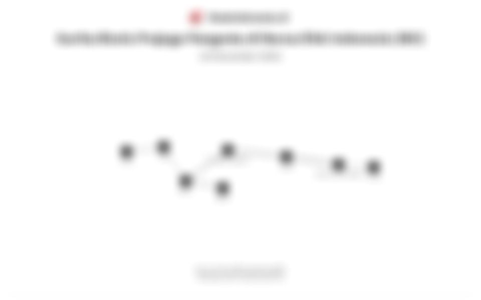 Jejaring Bisnis Prajogo Pangestu di BEI per November 2025: Emiten Petrokimia hingga EBT