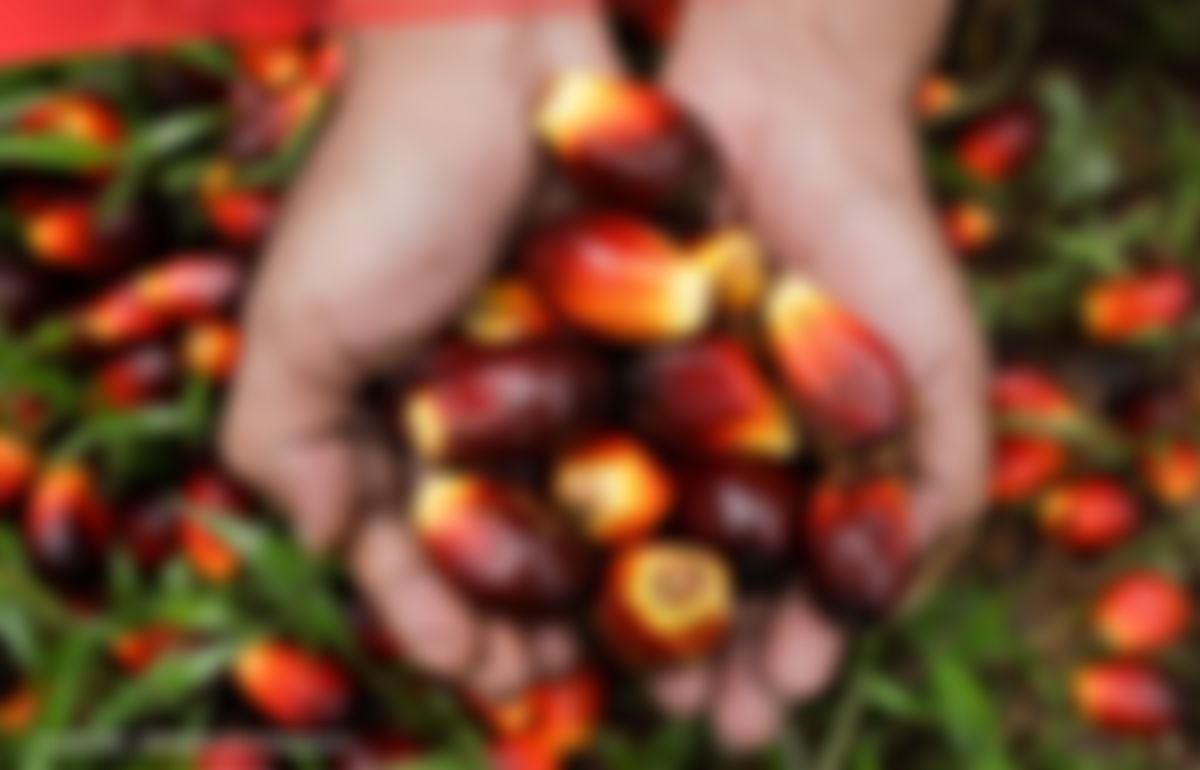 Menilik Perkembangan Produksi hingga Pemanfaatan Biodiesel RI 12 Tahun Terakhir Jelang Penerapan B50