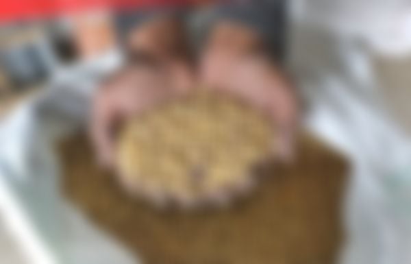 Laporan Khusus: Menakar Risiko Ketergantungan Impor Pangan Nasional di Tengah Tekanan Global
