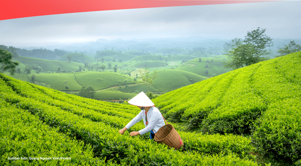 Laporan Statistik Indonesia 2024./ (Sumber foto: Pexels/Quang Nguyen)