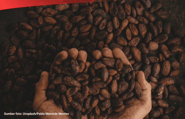 Data 8 Negara Produsen Biji Kakao Terbesar di Dunia pada 2022/2023