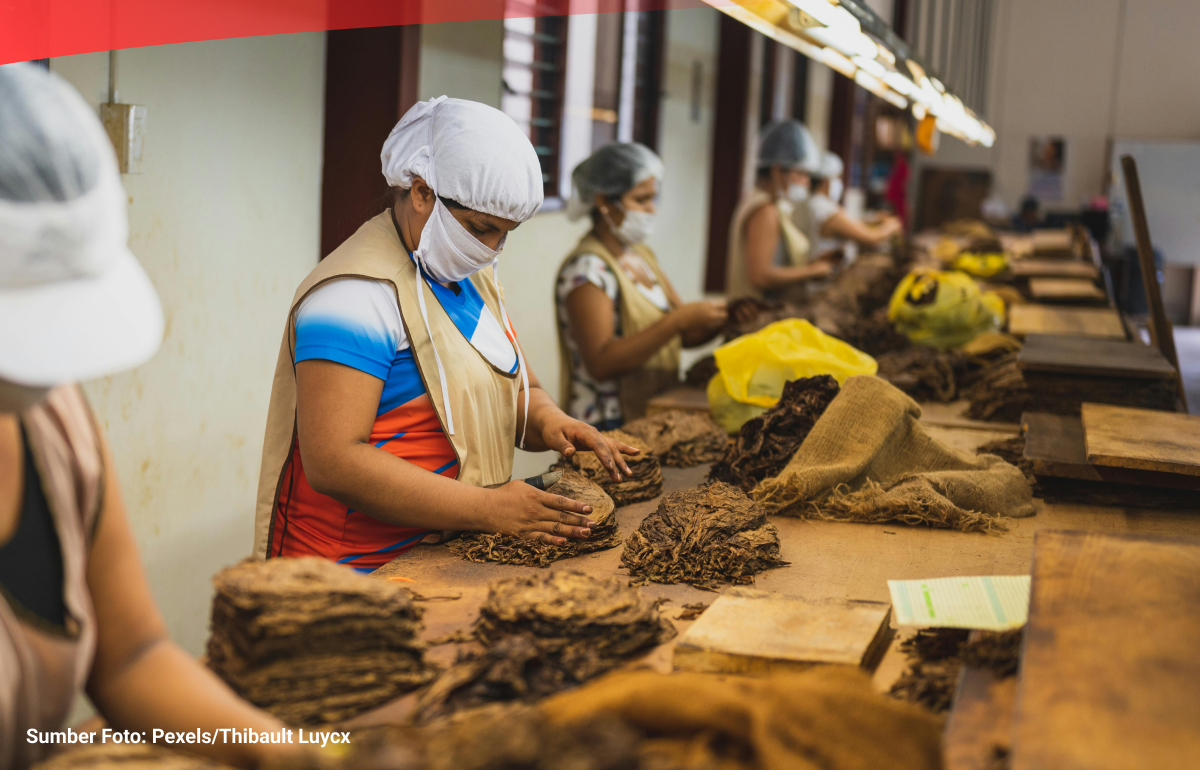 Data Kinerja Industri Pengolahan Tembakau pada 2013-2023