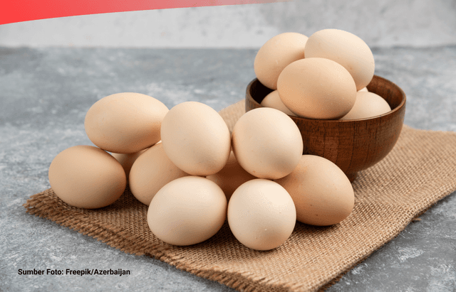 Laporan Distribusi Perdagangan Telur Ayam Indonesia 2023